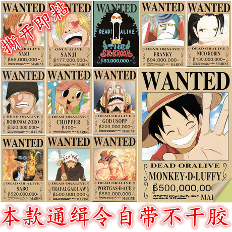 阿尔泰国立教育学院 Certificate